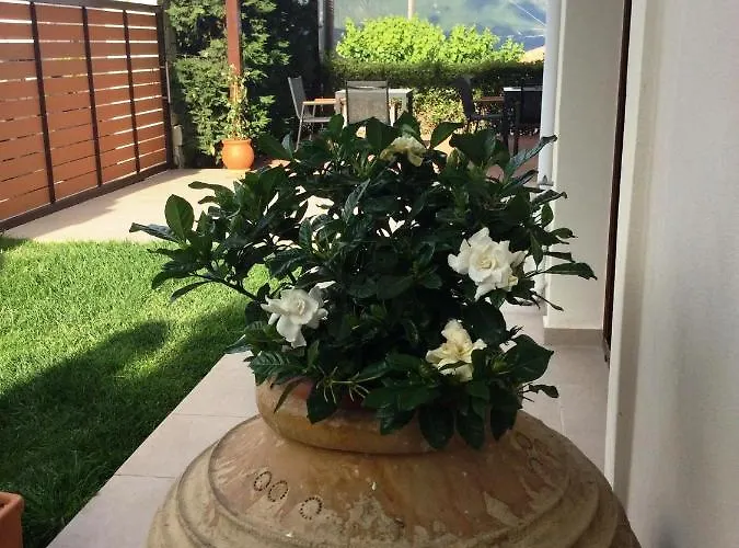 Calm View Aparthotel