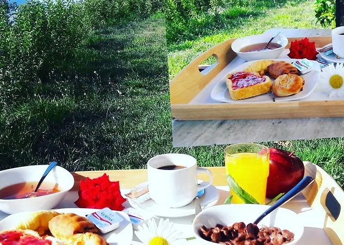 Aparthotel Calm View Vassiliki